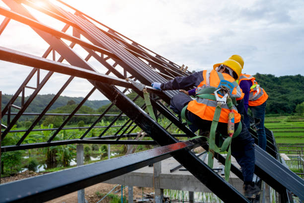 Best Roof Gutter Cleaning  in Eagle Lake, TX
